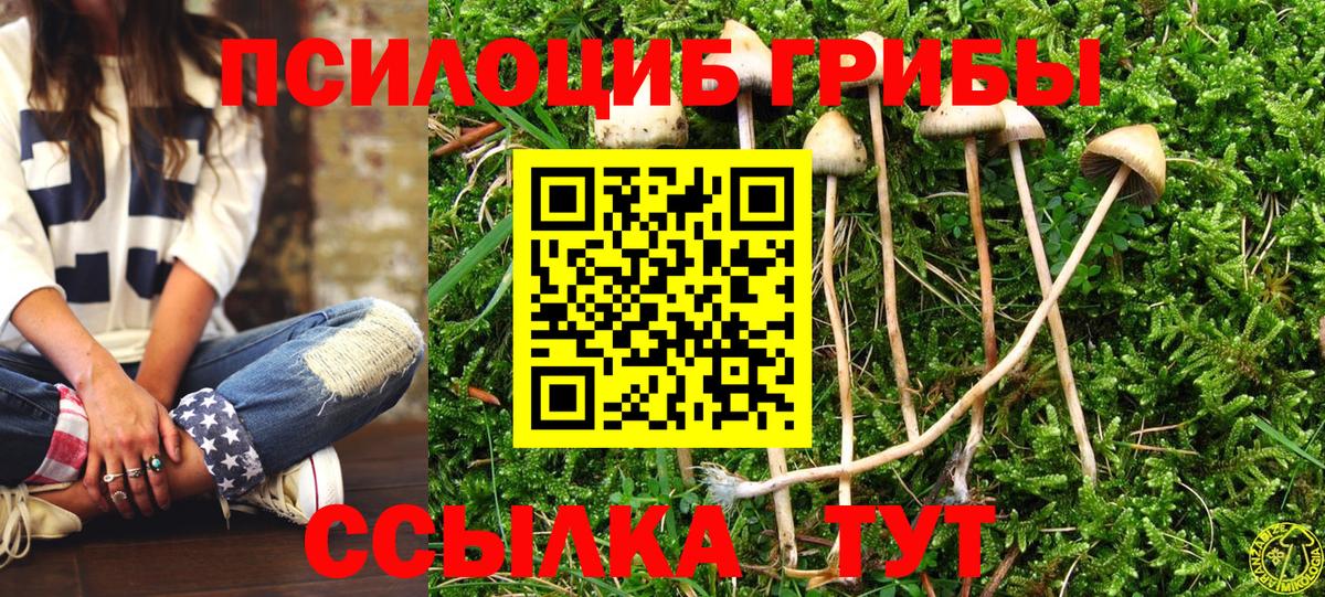 Галлюциногенные грибы мухоморы Ковров