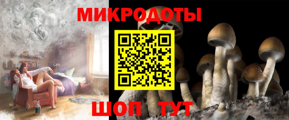 Псилоцибиновые грибы Magic Shrooms  Вход с VPN  Ковров 